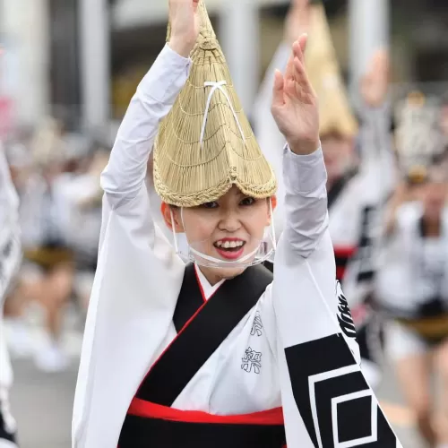 本場徳島阿波おどり